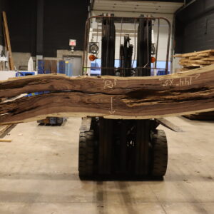 sale of exotic wood in canada and the usa