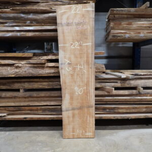 PACARA EARPOD TREE 700/06