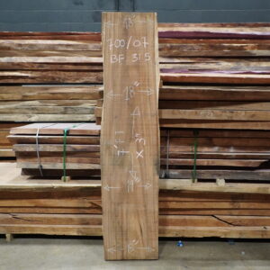 PACARA EARPOD TREE 700/07