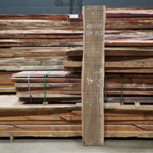 PACARA EARPOD TREE 700/10