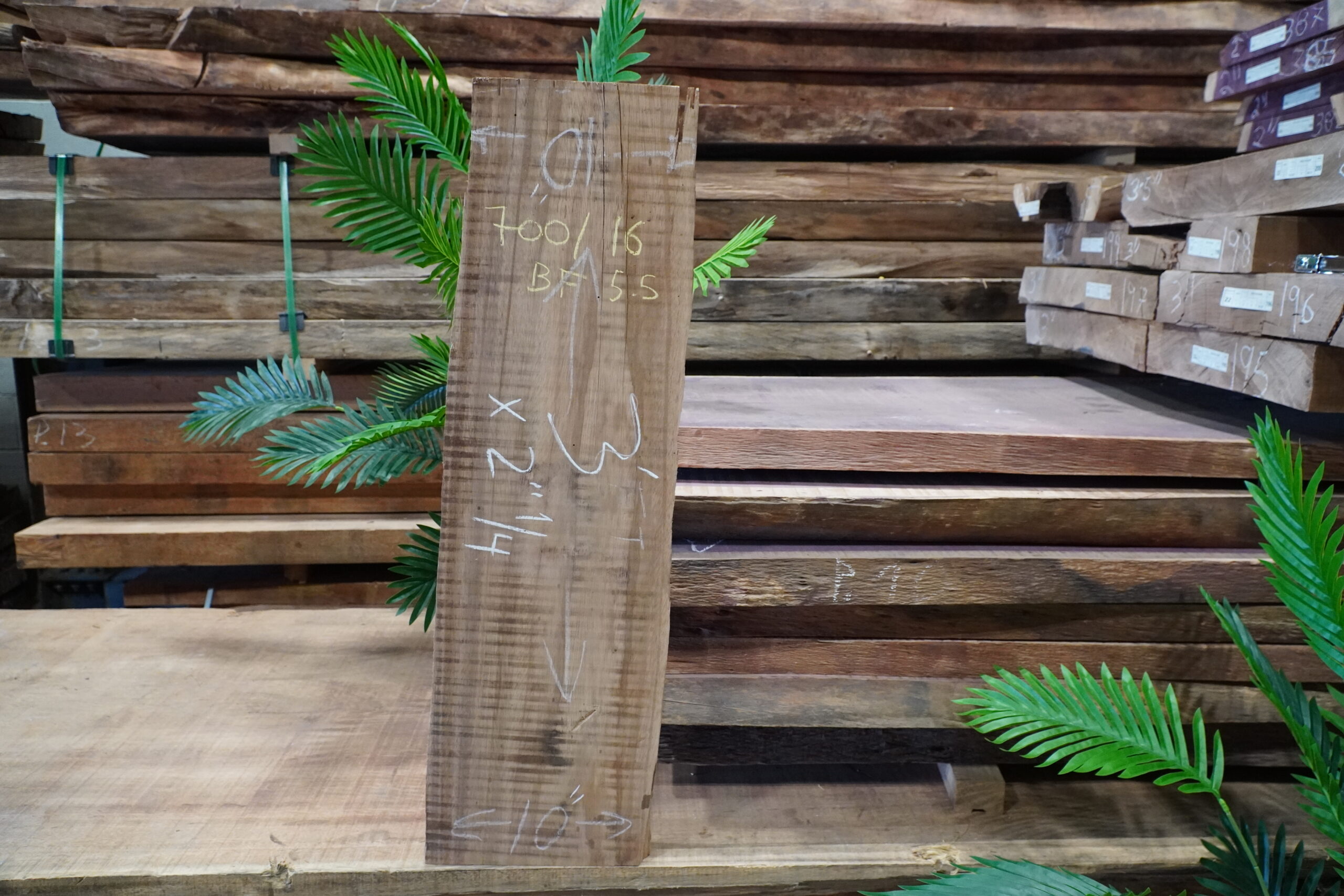 PACARA EARPOD TREE 700/16